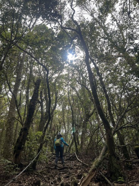 ~  塔  曼  山  ~2782780