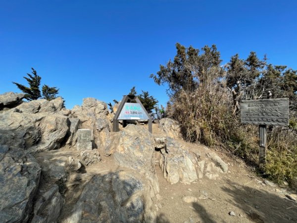 見證最美麗北大武山雲海、鐵杉1318810