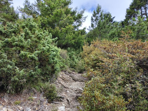 北一段(13/14)審馬陣山 2025_0906~132887549