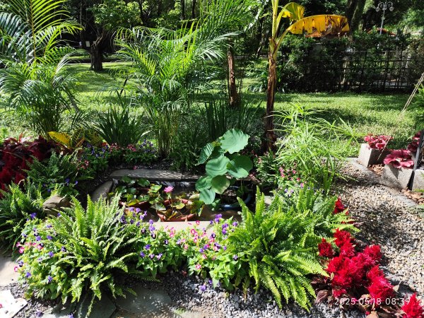 象山公園→糶米古道→土地公嶺步道→博嘉山2790306