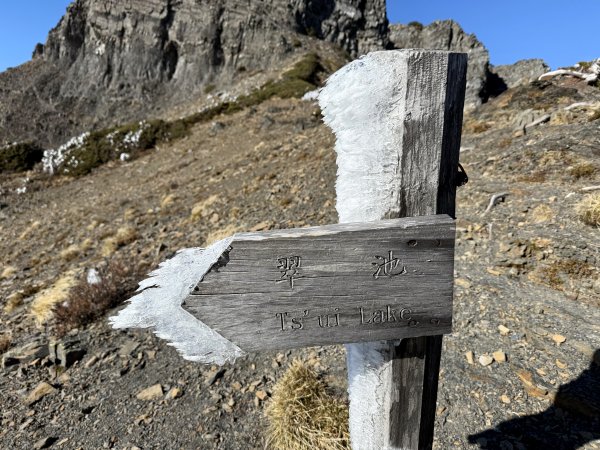 大眾運輸登 雪山西稜 (中雪山未竟) 2025/12/3~92970024