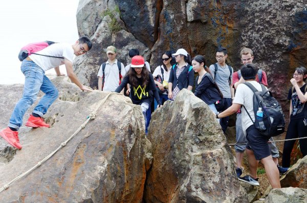 無耳茶壺山。黃金三稜539672