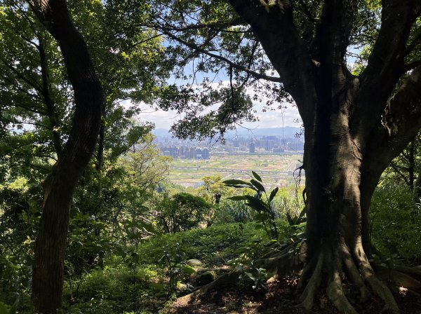 [跟著2025雙北世壯運探索雙北市-7/21] 2025_0615 疾風足球道（輔仁大學－明志路二段2814990