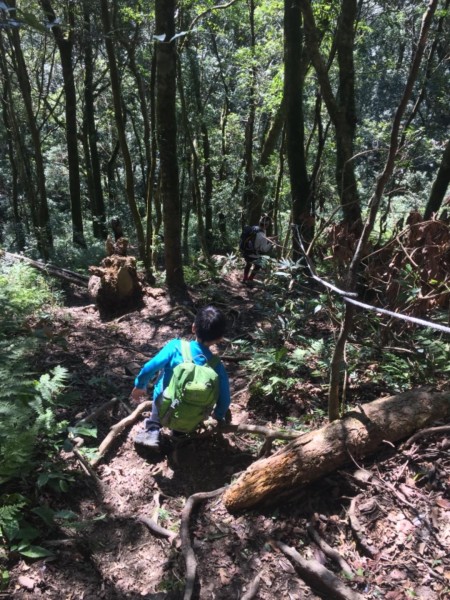 180114鵝公髻山 下山上人家o型路線249452