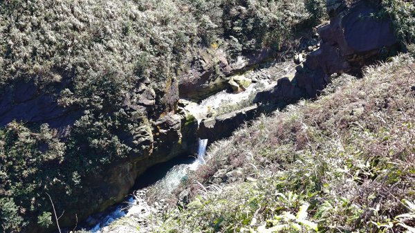 瑞芳小錐麓2714464