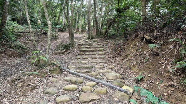 打鐵寮古道-石厝坑山-白石山O型走2551757