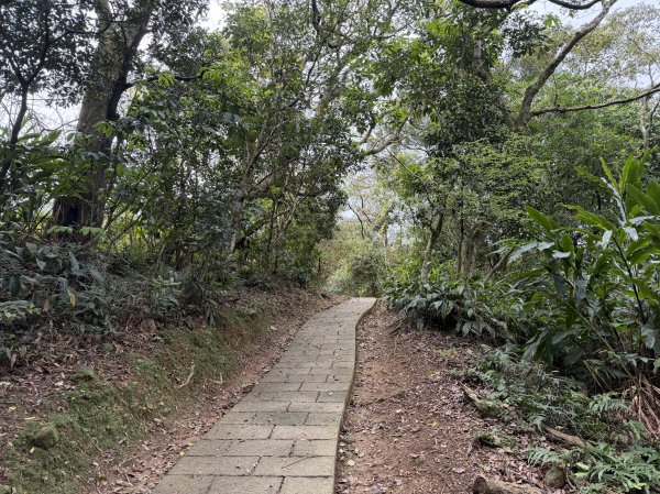 [微笑山線_第四段] 2026_0321 天上山系_石門內尖山東峰3021314