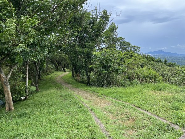 [微笑山線_第一段] 2025_0720 大棟山系_大棟山2843596