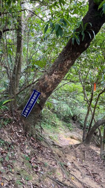 石碇_皇帝殿2884135