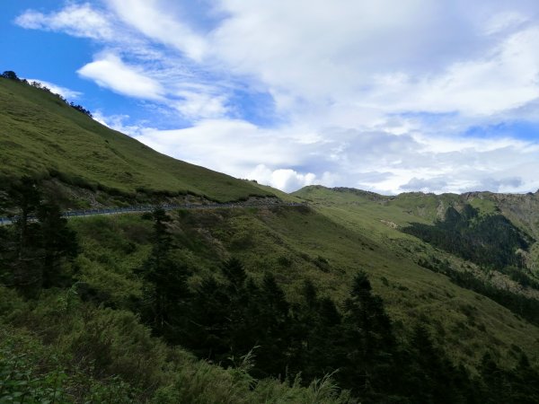 南投仁愛~站在雲端上。百岳~合歡主峰步道1013533