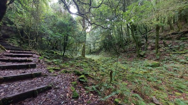 小雪山 船形 鞍馬 天池 啞口O型 1142098