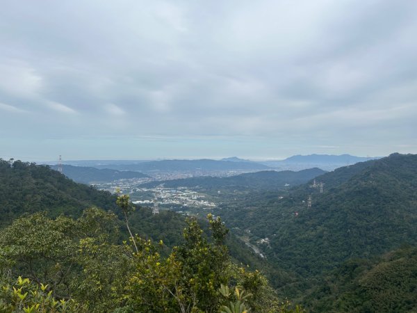 25/01/31三峽五寮尖2703459