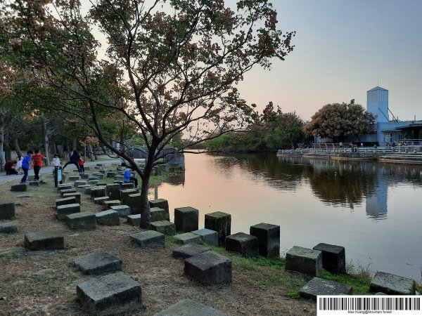 《台中》都會公園步道漫步202011011151281