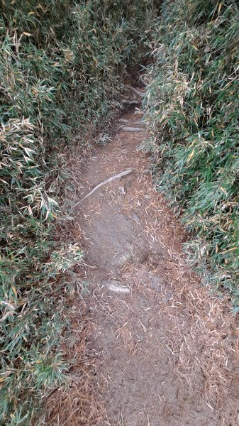 合歡西峰單攻1216877