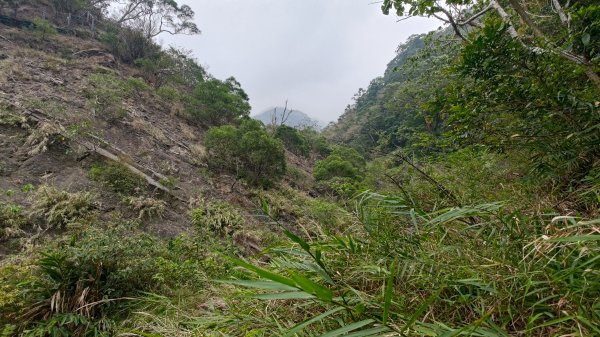里龍山3038440