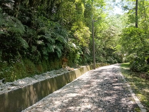 汐止區夢湖秘境桐花夢幻2773502