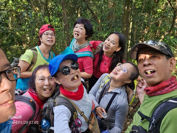 東勢大崙、東勢坑山、觀音湖山O走2986225