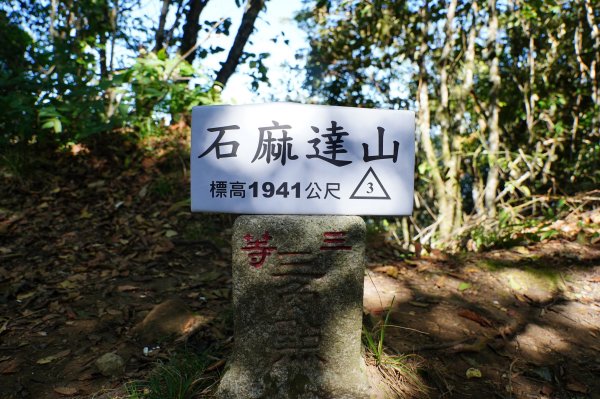 新竹 尖石 屯野生台山、石麻達山、錦屏山2904283