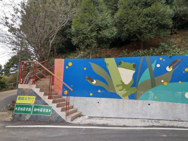 梨子腳山(小百岳#57) & 太平雲梯 (2021/1/29)1423205