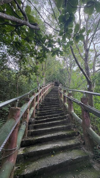 941（旗尾山2905656