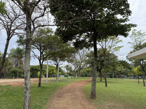 [紐約馬之行-67] 2025_1116 伊比拉布埃拉公園-上2955036