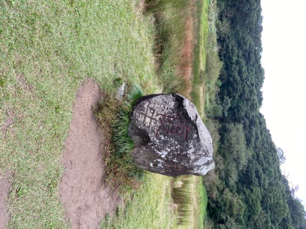 陽明山：面天山 - 向天山步道2441849