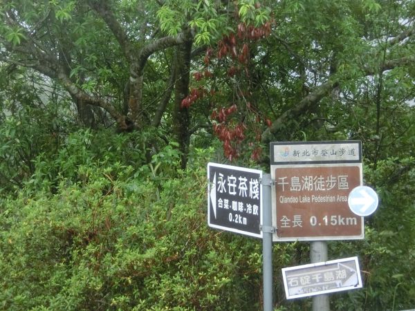 千島湖．八卦茶園．永安景觀步道162614