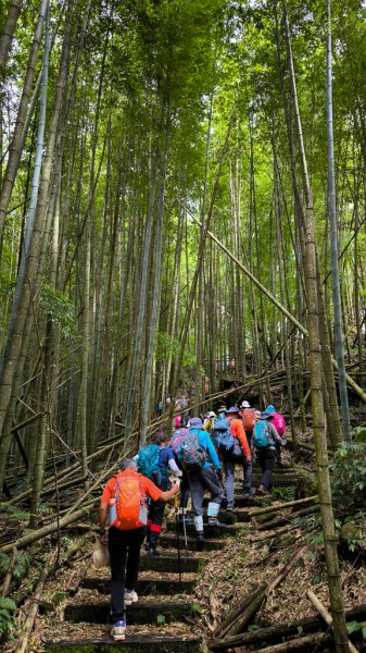 2026-07-26 頂湖大凍山、霹靂山、樂野山3091458