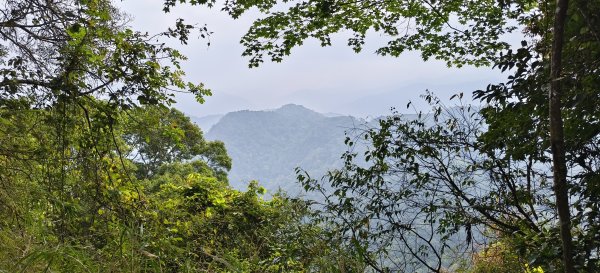 馬那邦山(上湖登山口)-2026/04/183040596