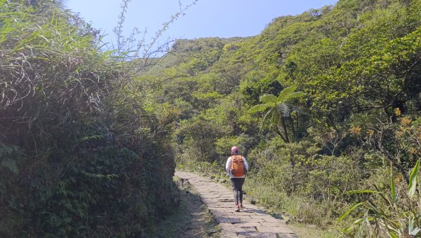 (姨婆趴趴走)第四十八集:新北草嶺古道（福隆車站-大里車站）2747680