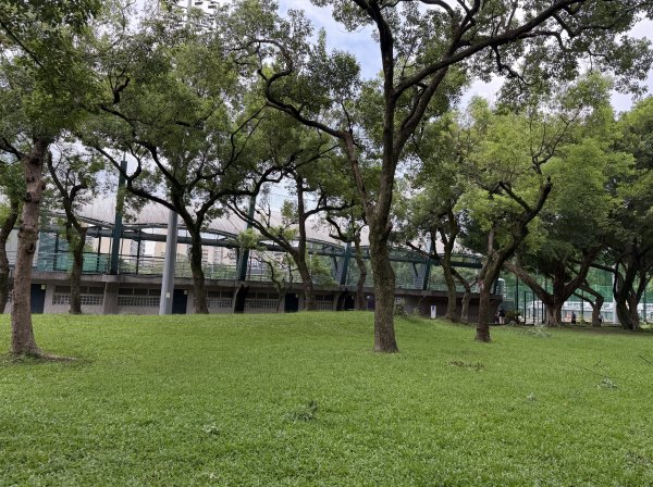 [2026臺北健走趣-06/50] 2026_0712_青年公園3098541