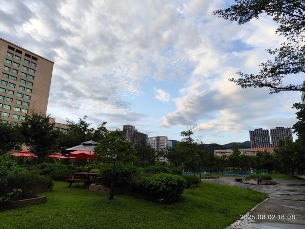 基隆傘人家族1-14號、大港墘公園、港墘公園2854186