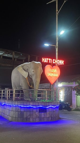 尼泊爾奇旺國家公園4天三夜2788948