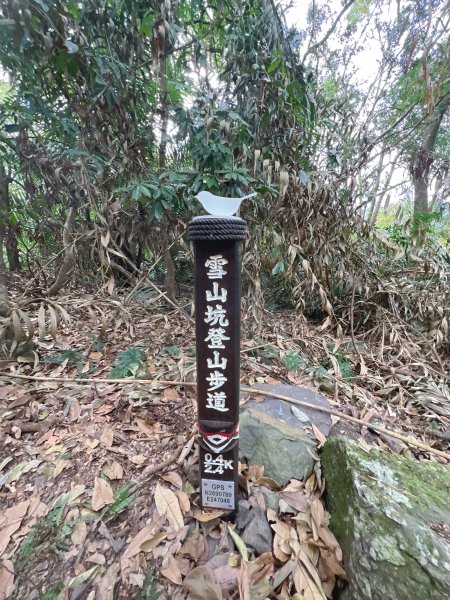 雪山坑環線步道3023322