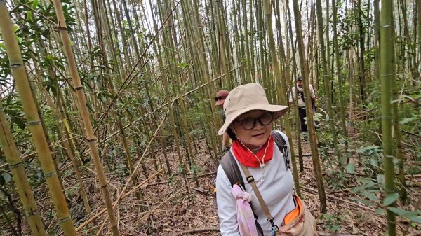 馬武督山西南峰+馬武督山O型走3012847