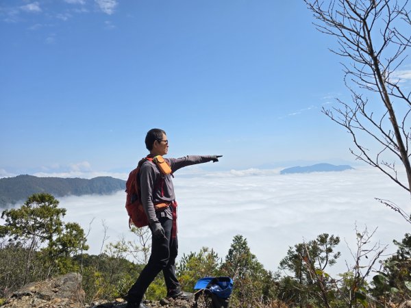 蝶夢八唐（裡冷登山口往返）八仙山出雲海下山順賞富士櫻2722723