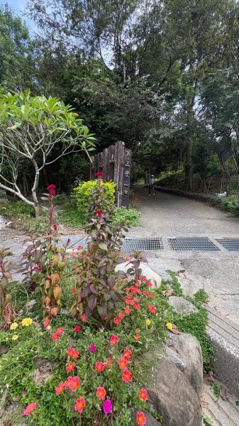 941（旗尾山2905648