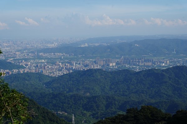 新北 三峽 白雞山、雞罩山2551213