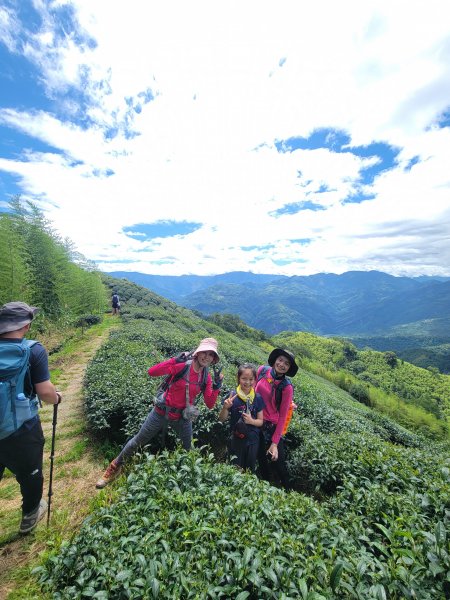 【雲嘉抺茶山】1735902