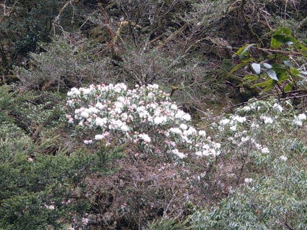 嘉明湖/向陽山/三叉山1333668