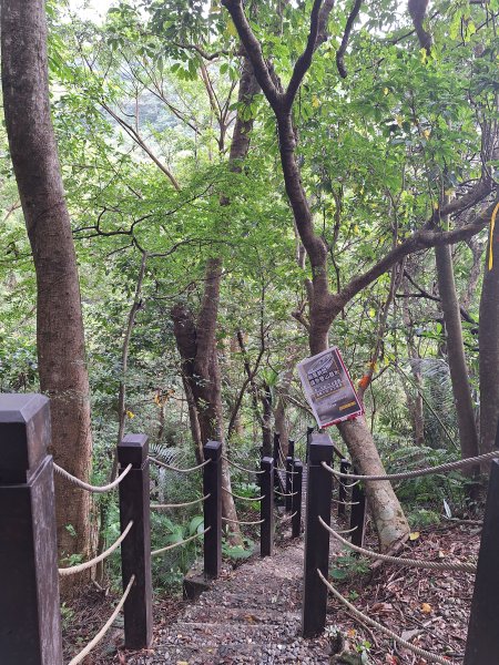 微笑山線：【五分山系】望古瀑布段+平溪小黃山段+慈恩嶺2932577