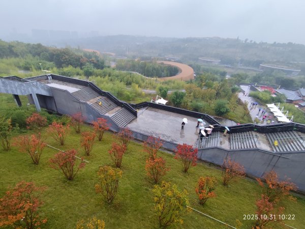 四川成都大熊貓繁育研究基地2940709