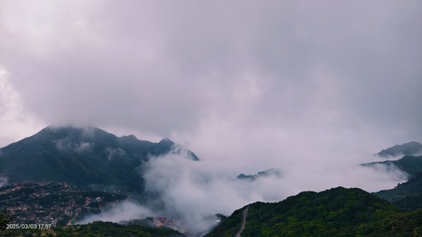 #樹梅坪 #琉璃光 出景首拍 3/32726281