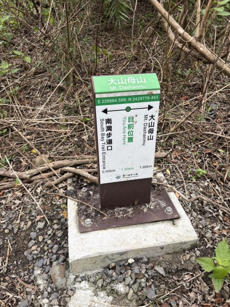 20251129大山母山步道2951881