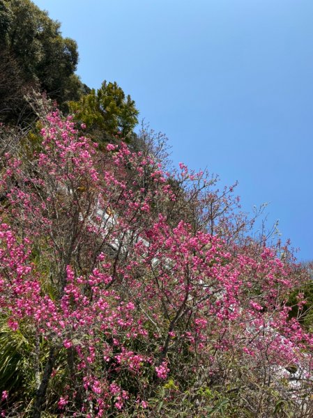 中之關、天池步道1294948