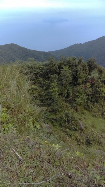 【東北角生態步道尋寶石】 桃源谷步道大溪線 3-3963553