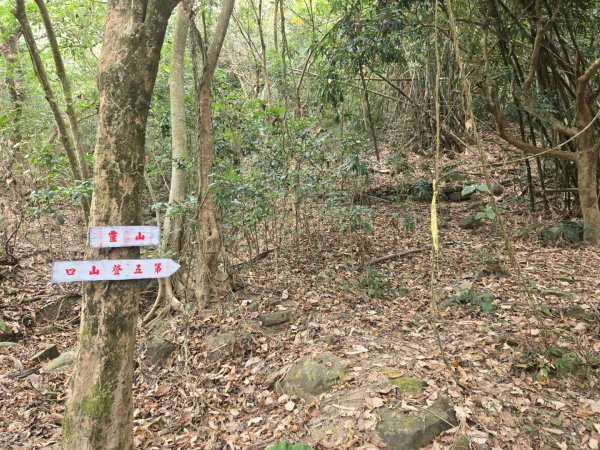 2026-02-01 靈山古道