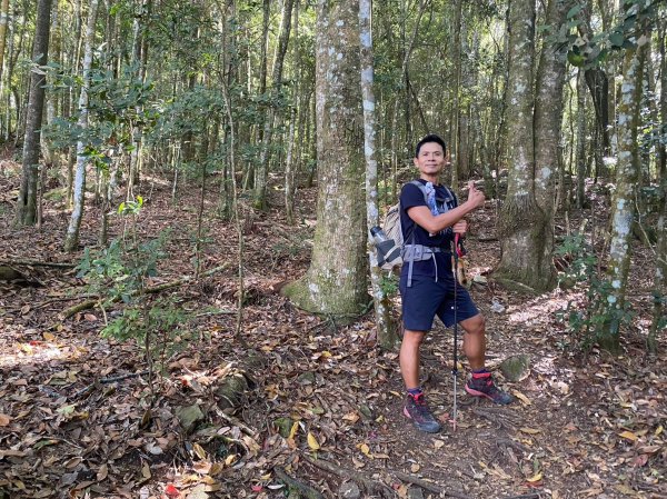 八仙山.東松鶴山【拚老命完成一年一雄的夢想】2357735