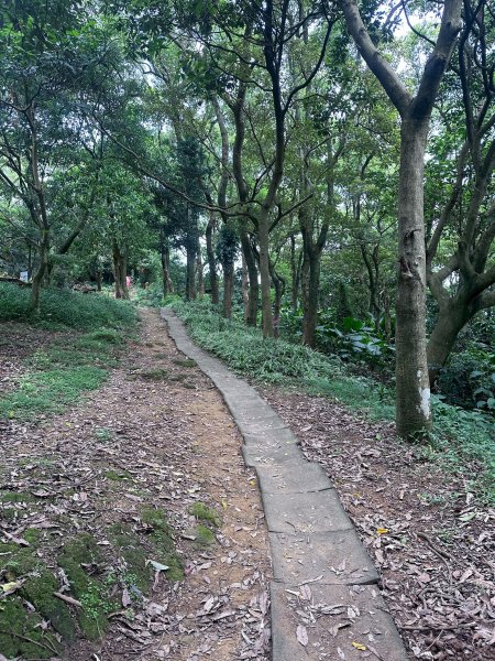 大棟山系第一段、第二段一起走2857259