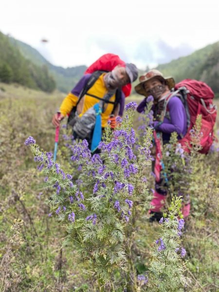 百岳回憶錄1885384